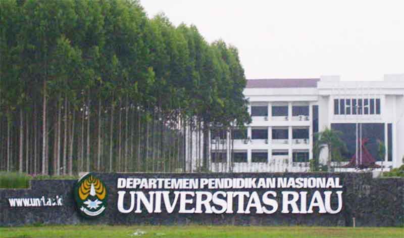 Pemira Universitas Riau Ajarkan Mahasiswa Untuk Berdemokrasi Kemahasiswaan Universitas Riau